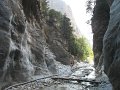 IMG_2245 - Copy